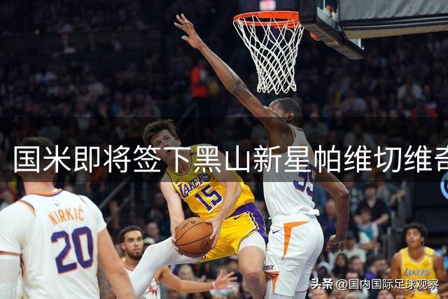 国米即将签下黑山新星帕维切维奇